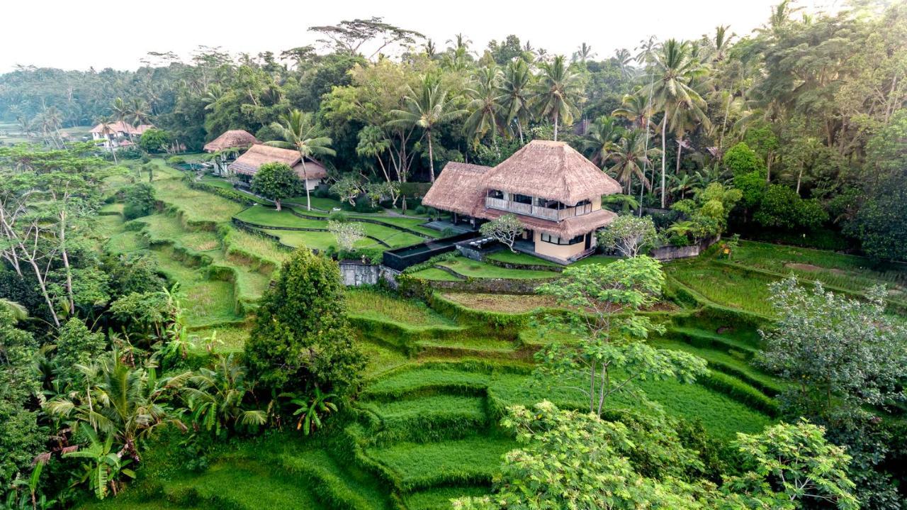 Villa Kelusa Ubud Eksteriør bilde