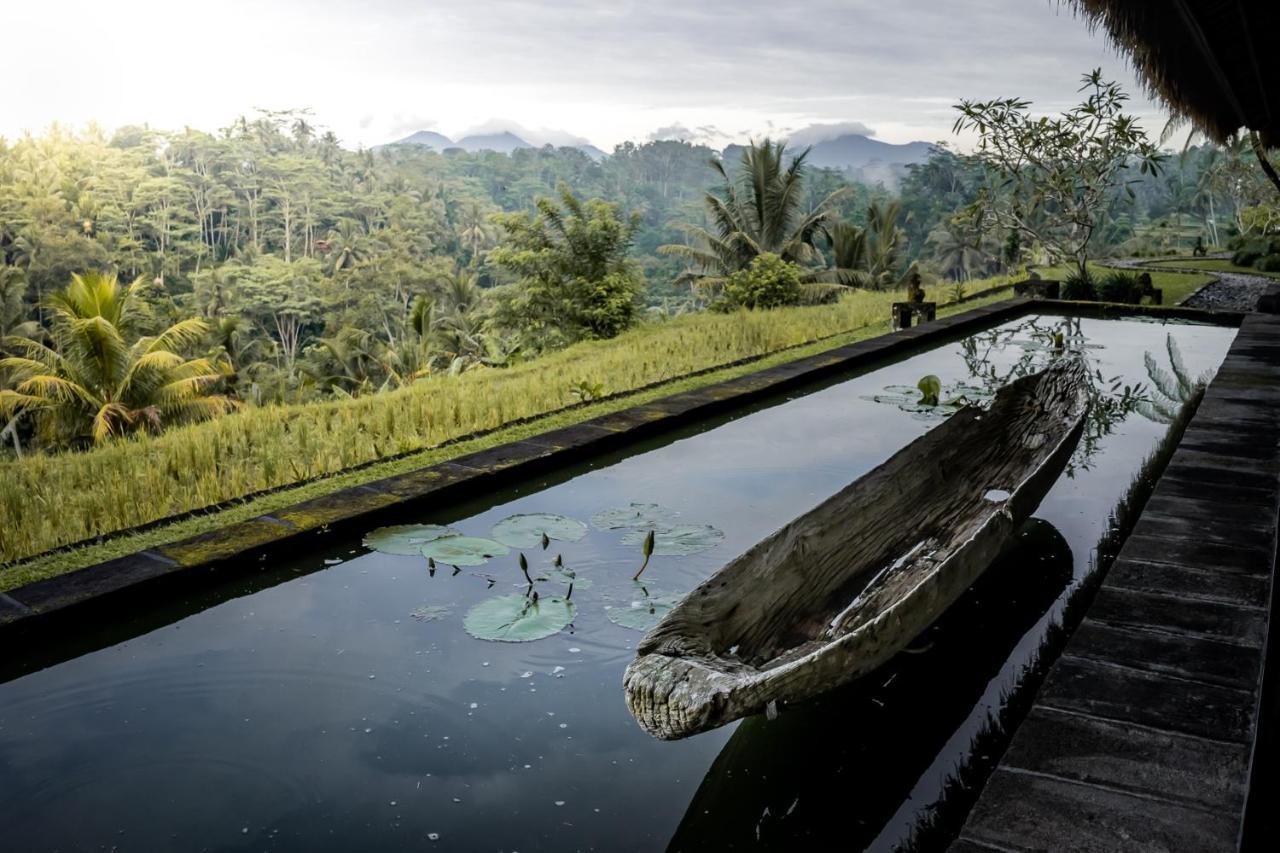 Villa Kelusa Ubud Eksteriør bilde