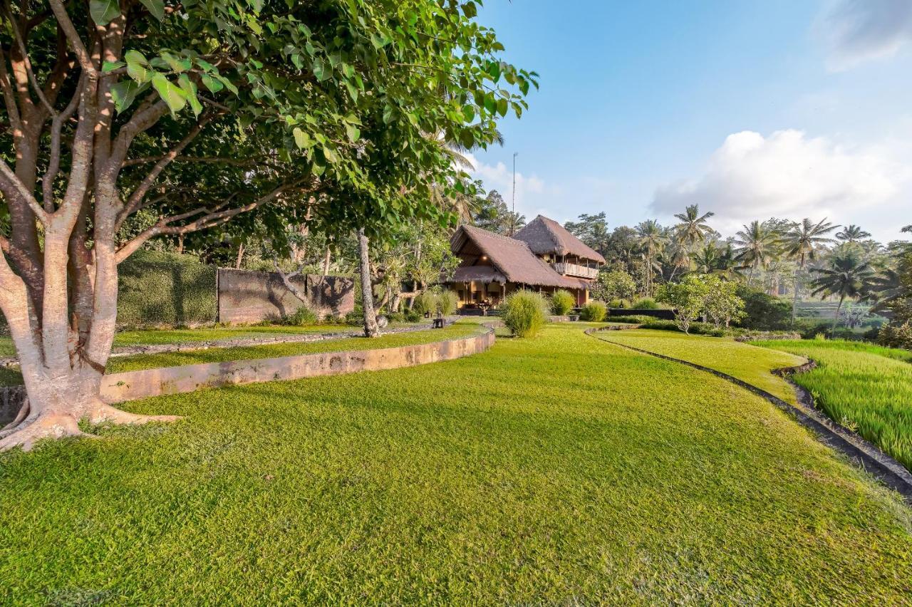 Villa Kelusa Ubud Eksteriør bilde