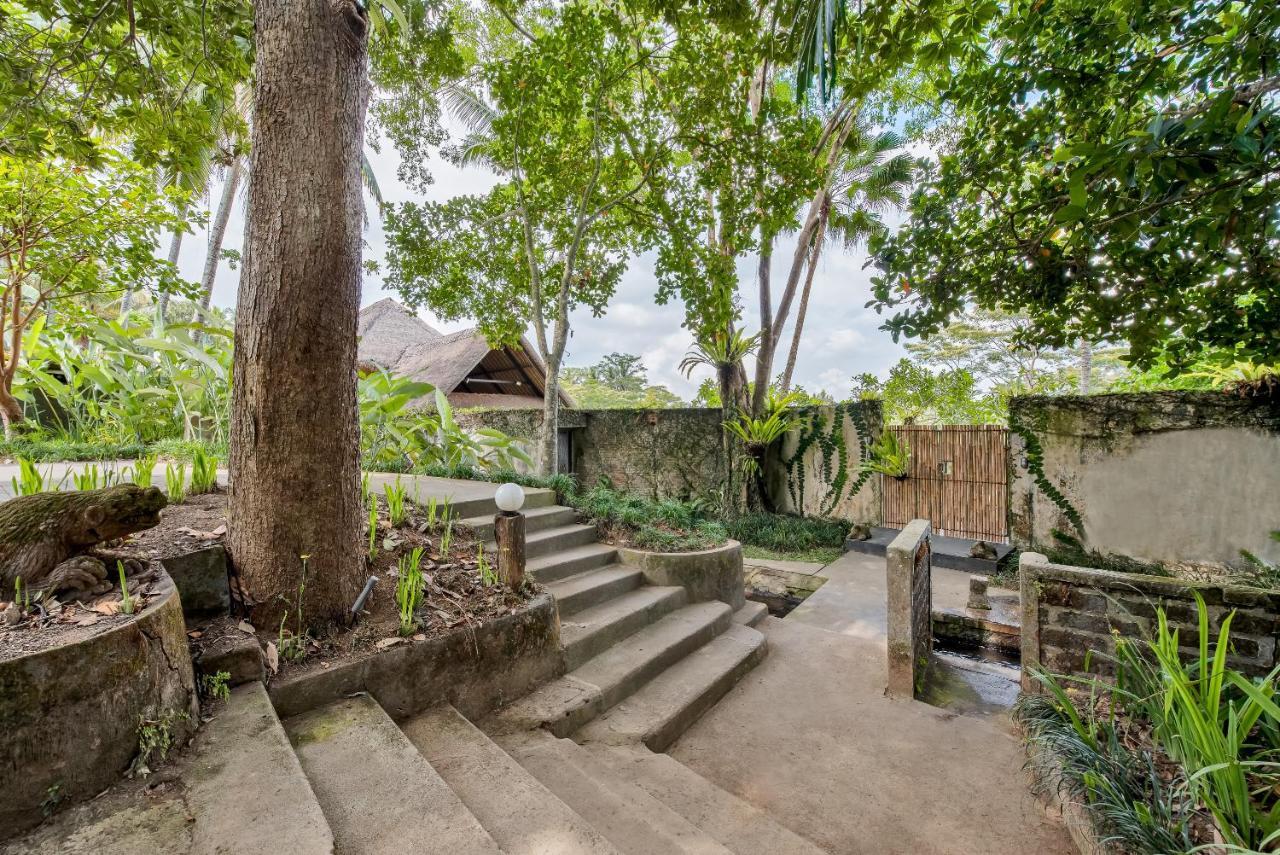Villa Kelusa Ubud Eksteriør bilde